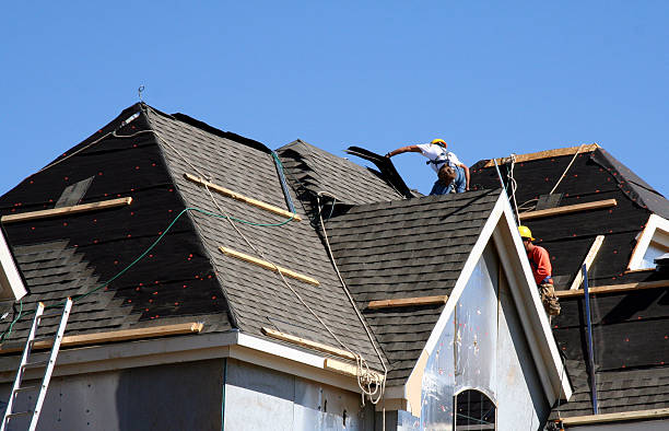 Best Flat Roof Repair Services  in Clark, SD