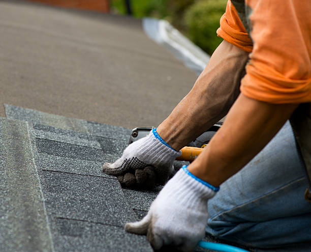 Best Shingle Roofing Installation  in Clark, SD